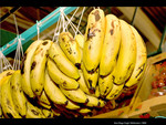 Frutas